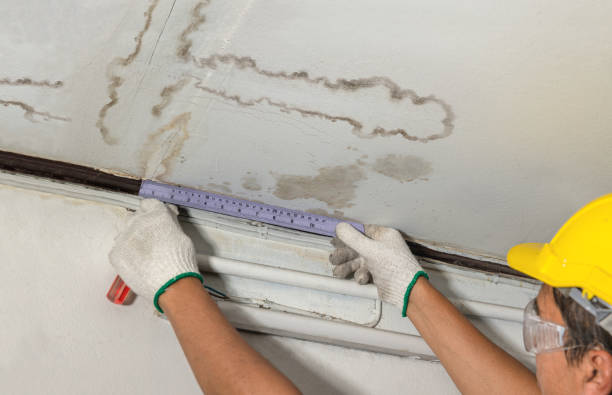 Affordable Water Damage Repair solutions in Waverly, WA